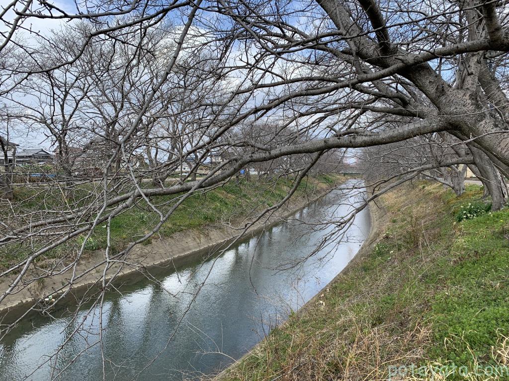 2022年3月3日に撮影した中須川沿い