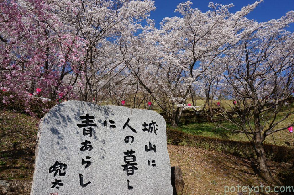 蘭丸ふる里の森の芝生広場から見える景色