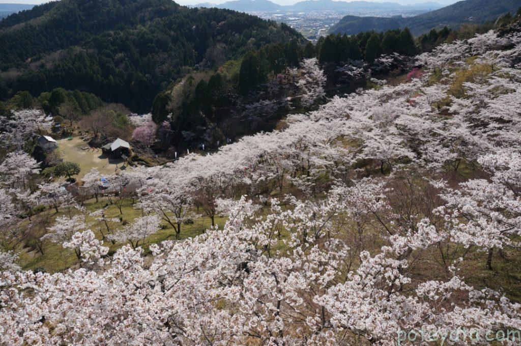 蘭丸ふる里広場の展望台から見える景色