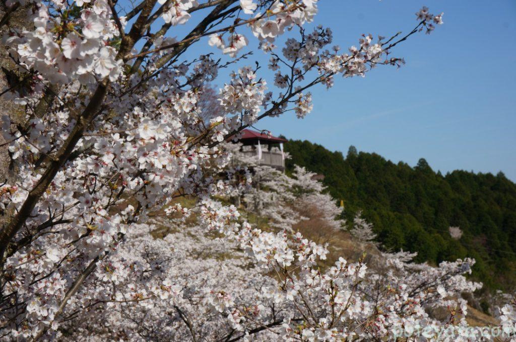 出丸跡から見える景色1