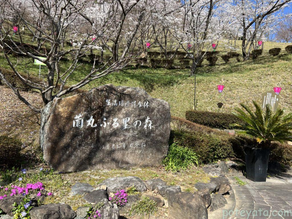 蘭丸ふる里の森の斜面登り口の写真