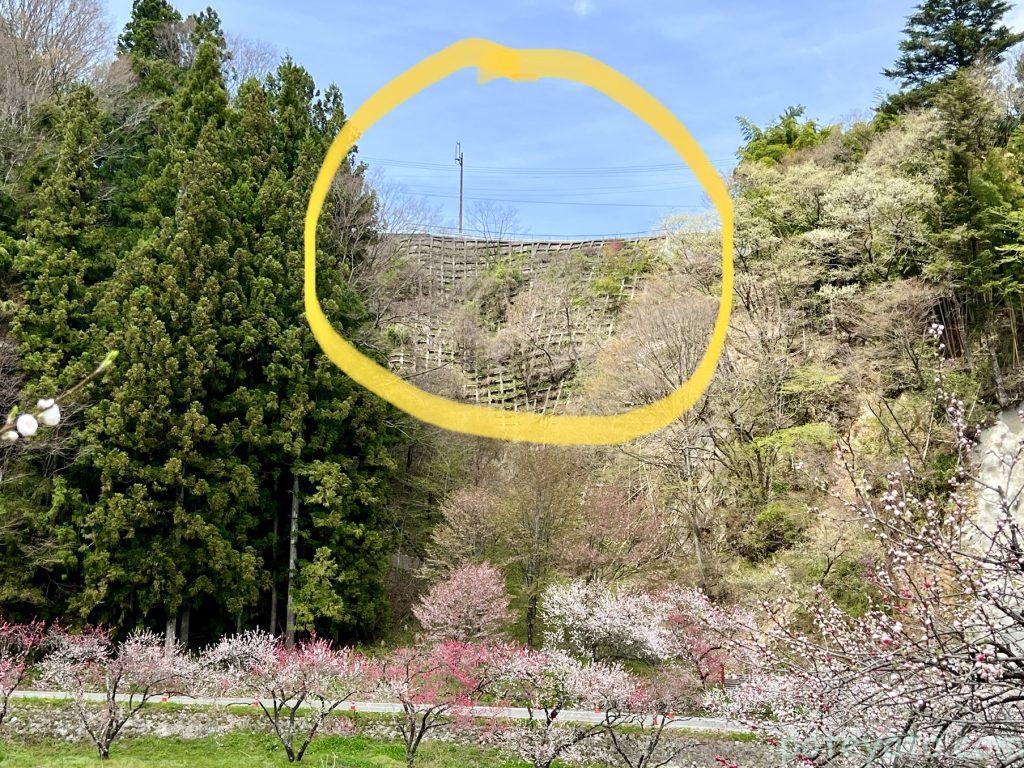 花桃の里写真撮影スポット