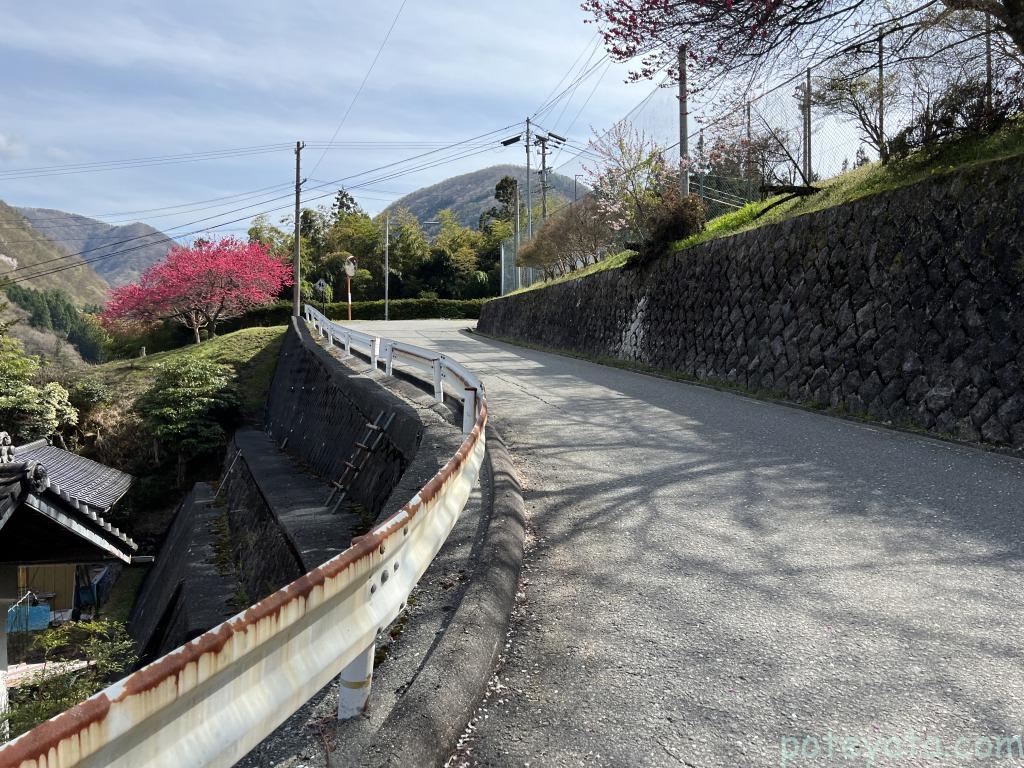 写真撮影スポットへ向かう坂道