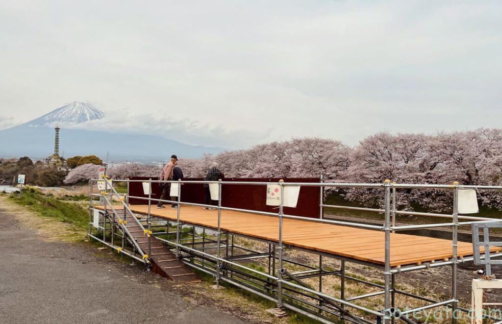 龍巌淵沿いに設けられた桜鑑賞スペース
