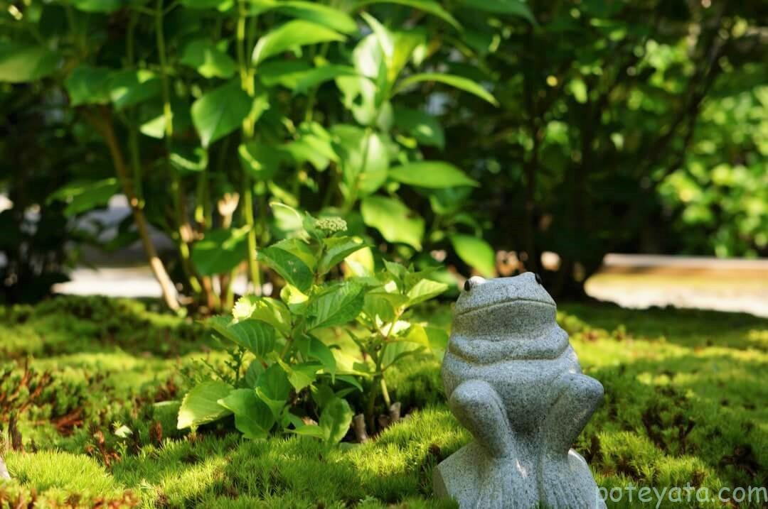 本光寺の庭園