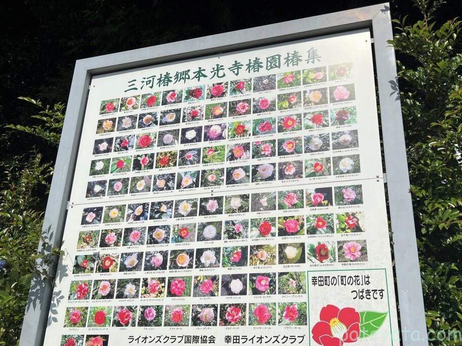 椿の種類の看板