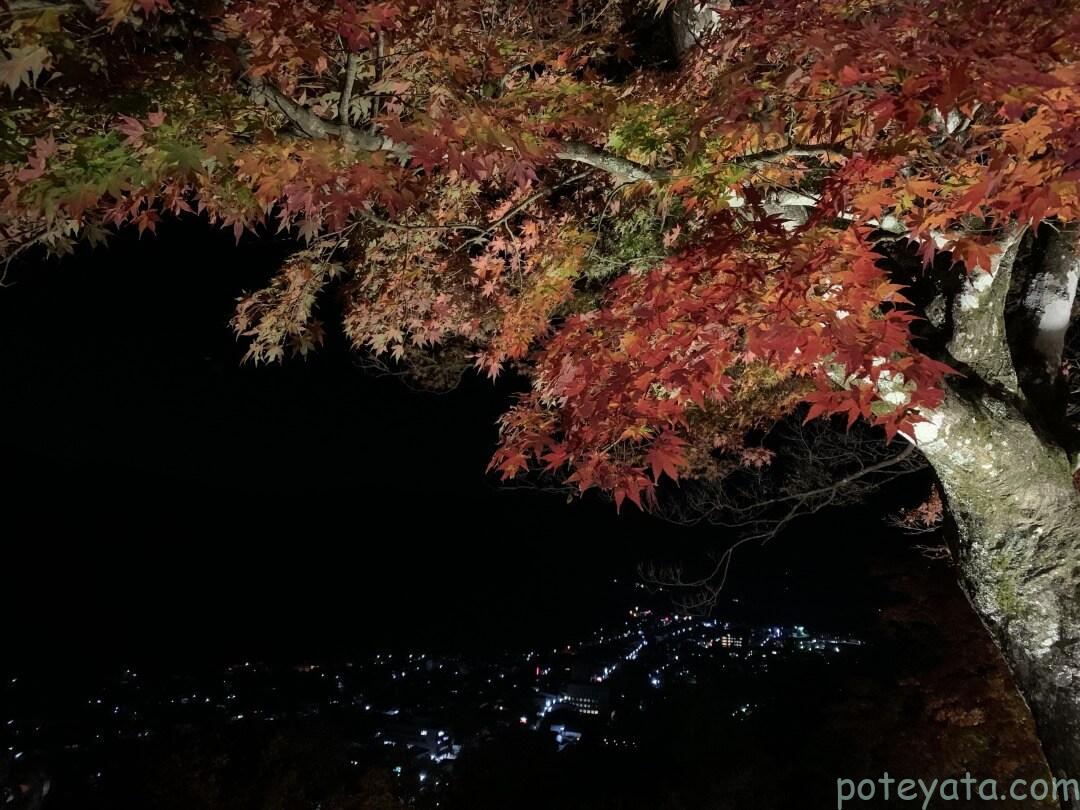 郡上八幡城の紅葉と夜景