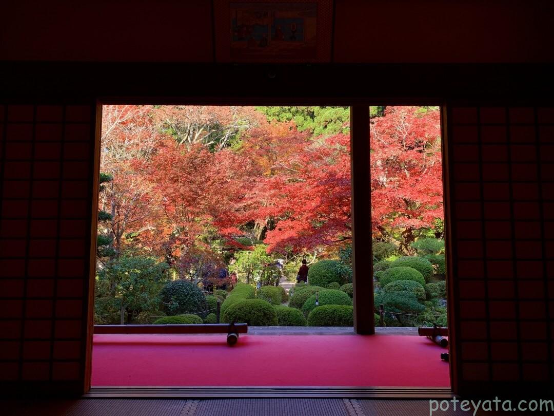 茶室からの紅葉の景色