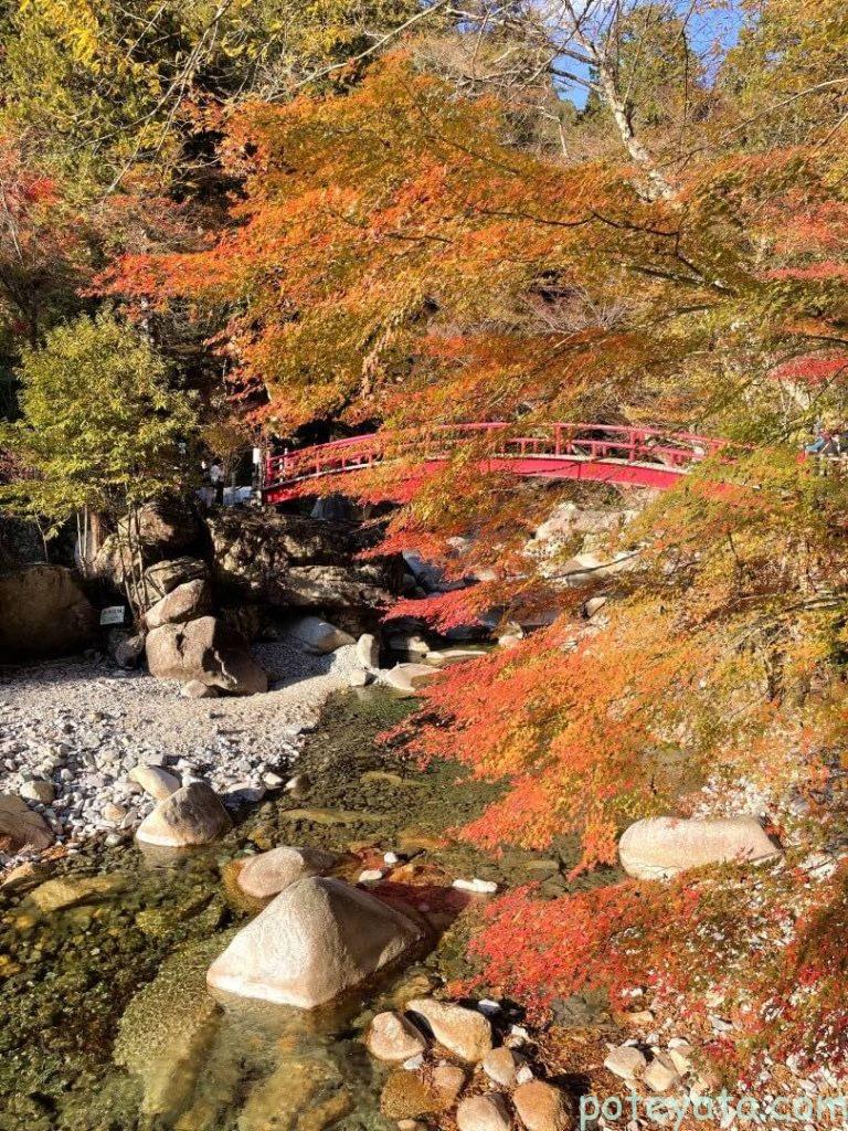 夕森渓谷のもみじ橋と紅葉