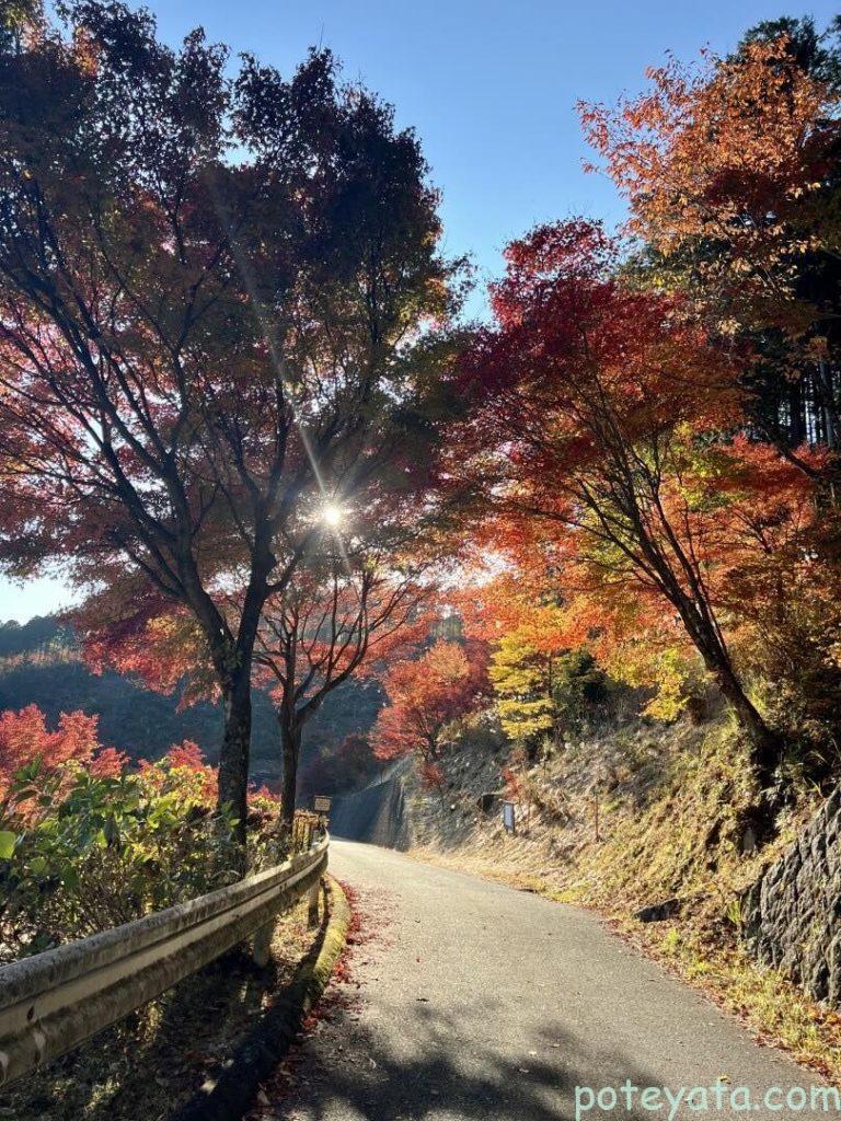 夕森渓谷までの道中の紅葉