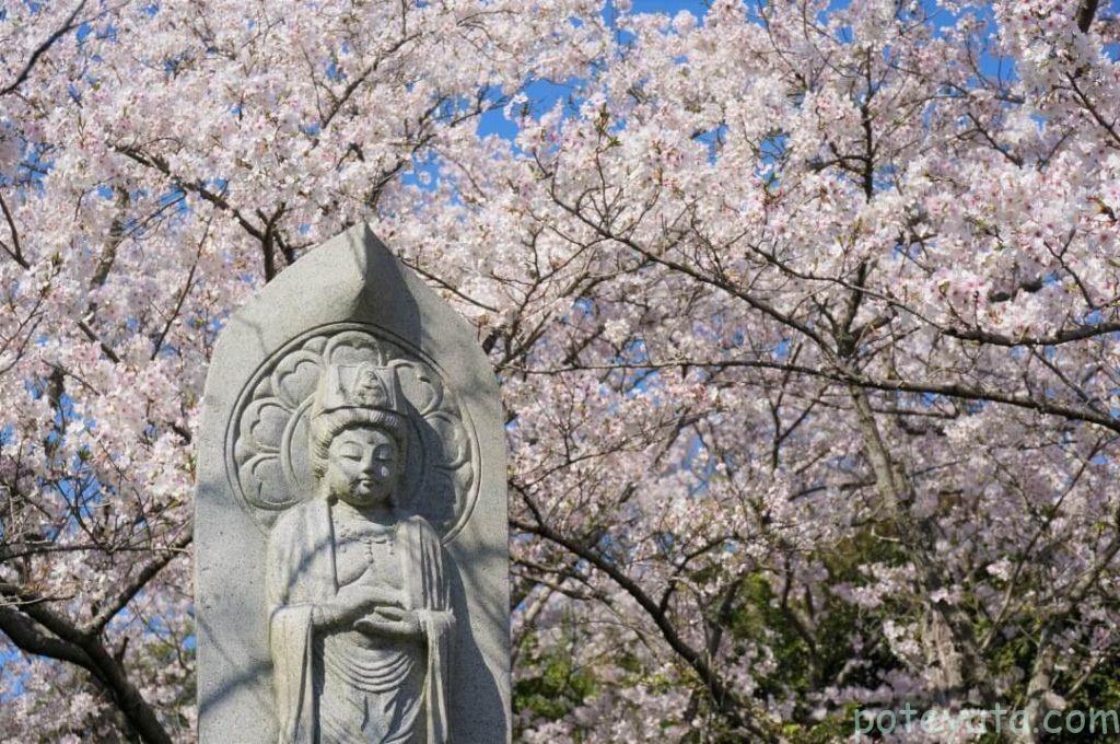 心月斎にある石像