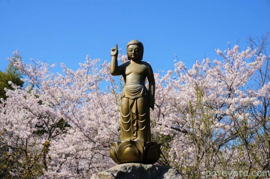 春の日の心月斎の仏様