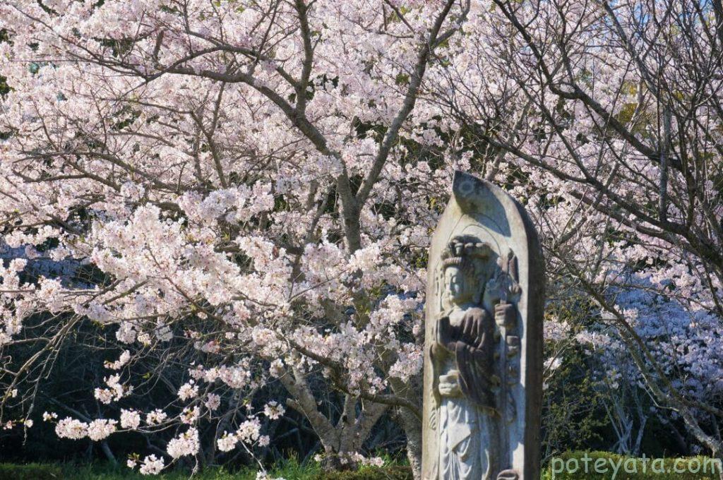 石像と桜の木