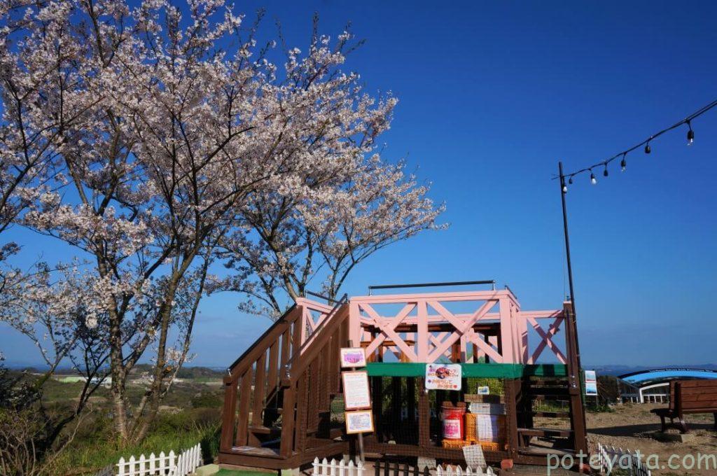 桜公園の展望台
