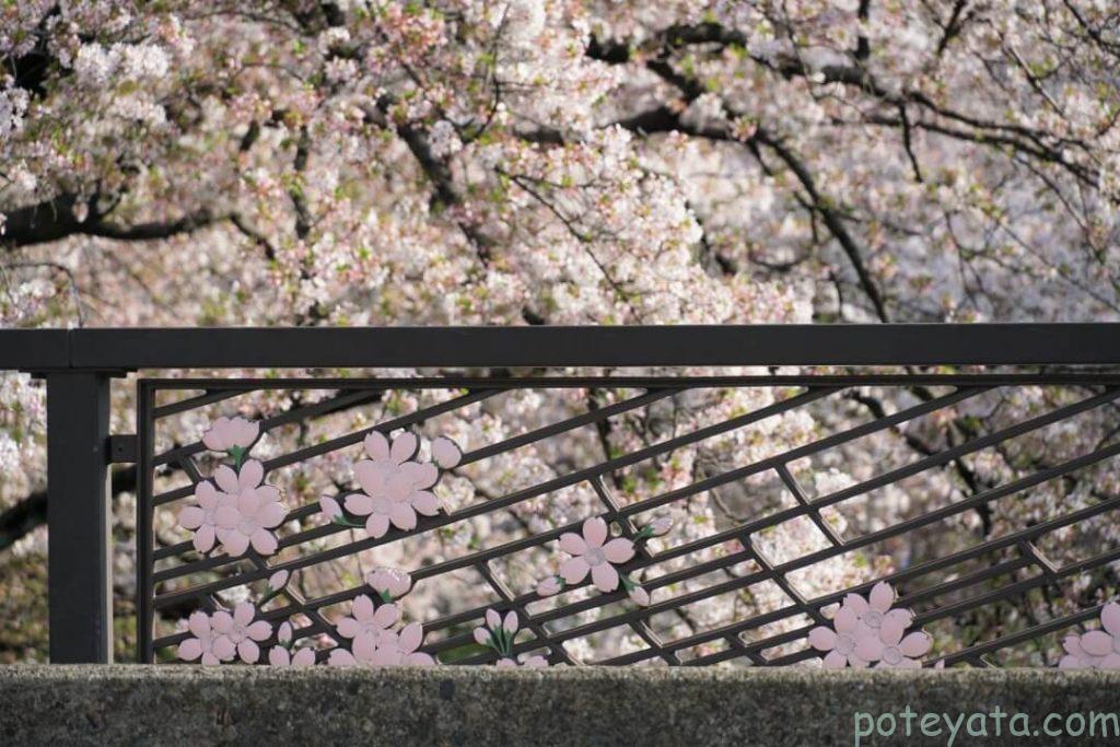 五条川にかかる橋の模様