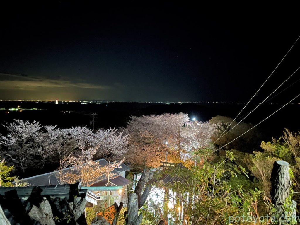 高台より桜公園を見下ろす