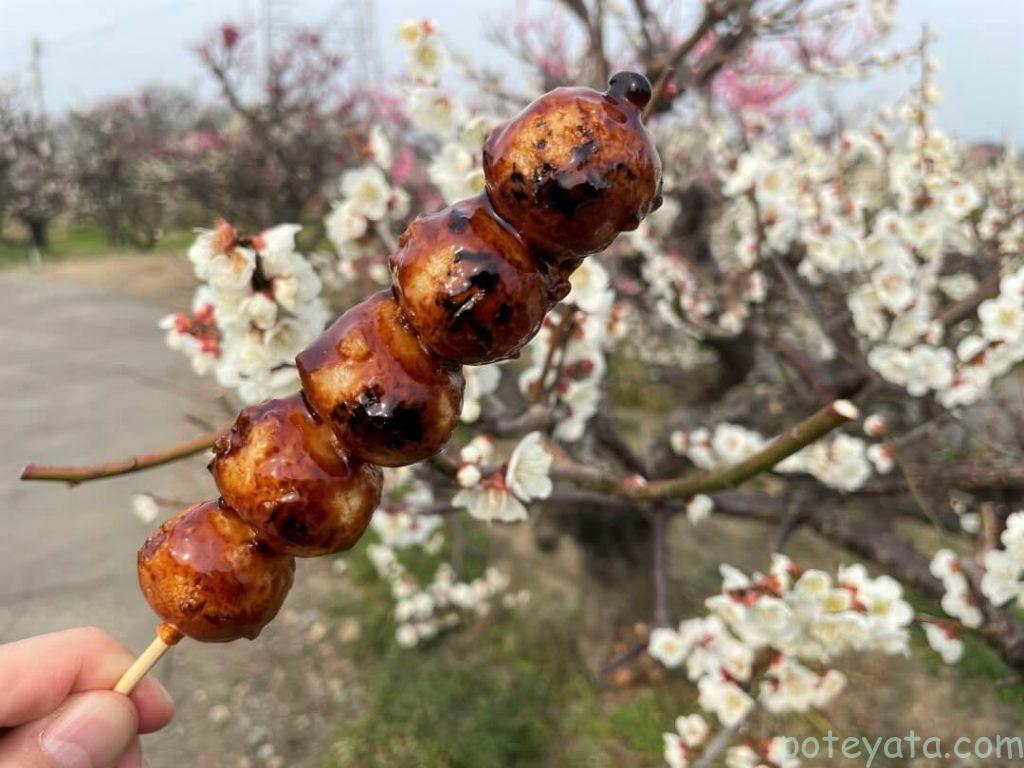 梅の花とみたらし団子