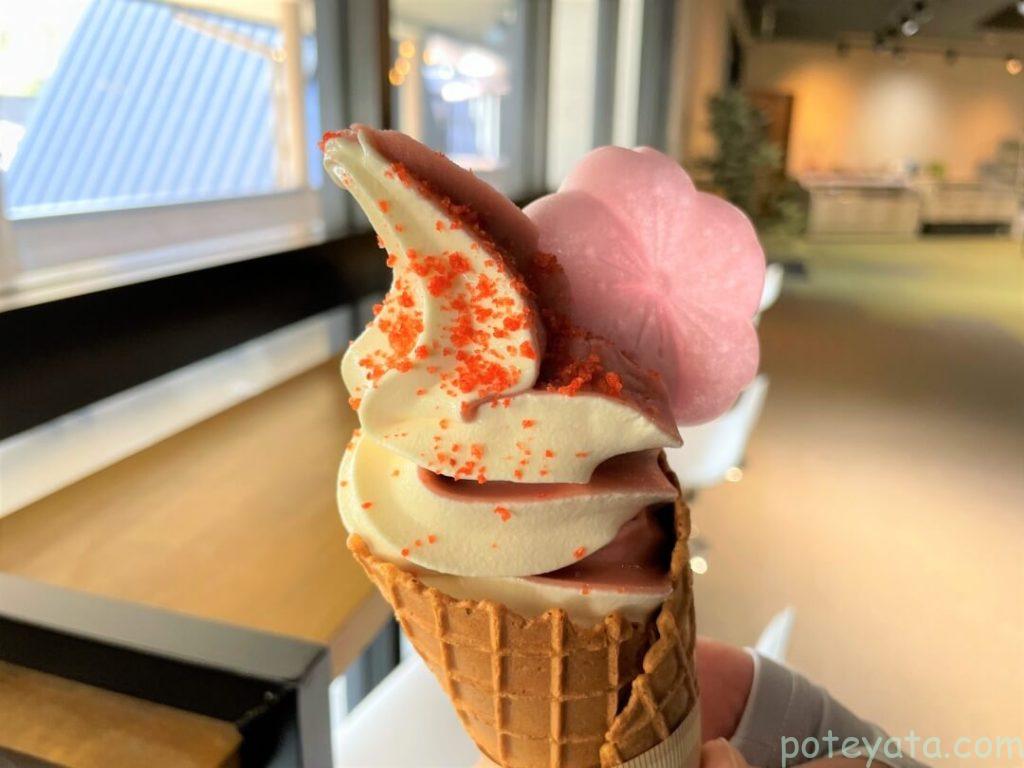 春限定花桃ソフト