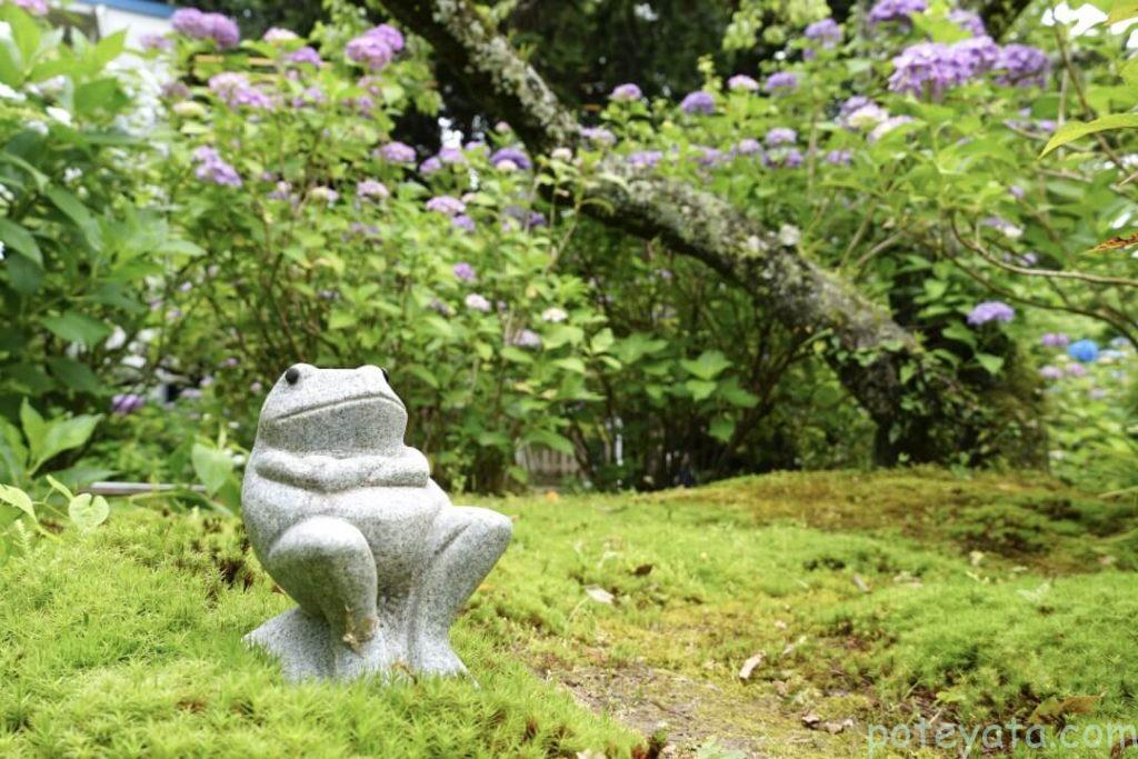 本光寺にあるかわいい蛙の像