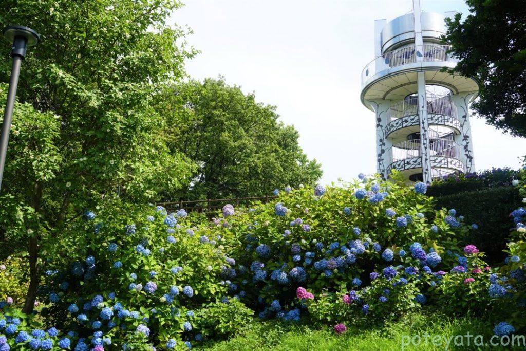 展望台が後ろに見える場所