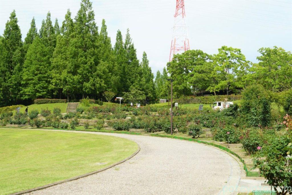 市民四季の森のバラ園