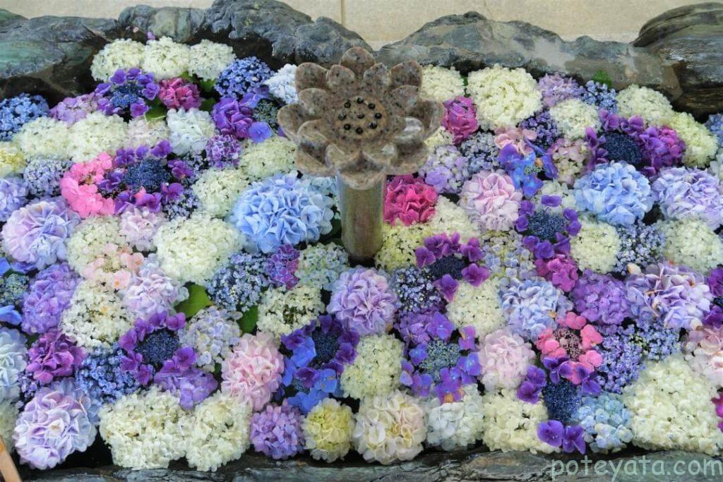 常念寺の花手水