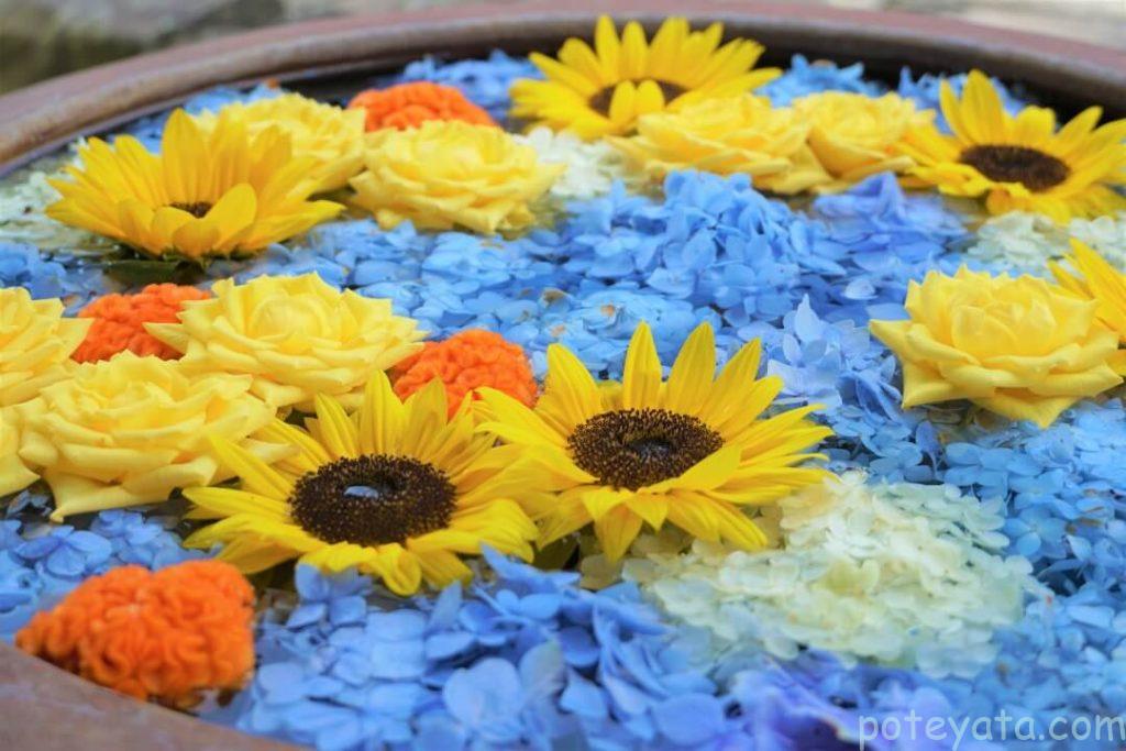 常念寺の瓶の中に浮かぶお花