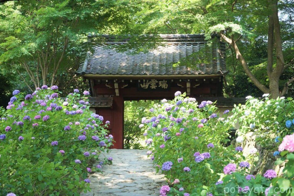 本光寺の山門