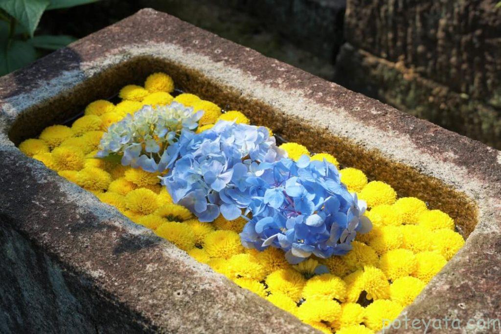 本光寺にあった花手水
