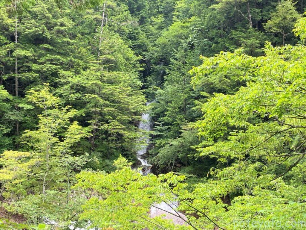 川の対岸から見える吉報の滝