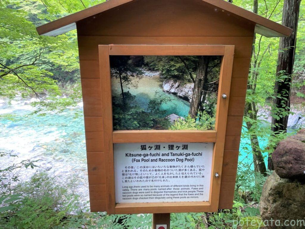 阿寺渓谷にある狸ヶ淵の看板