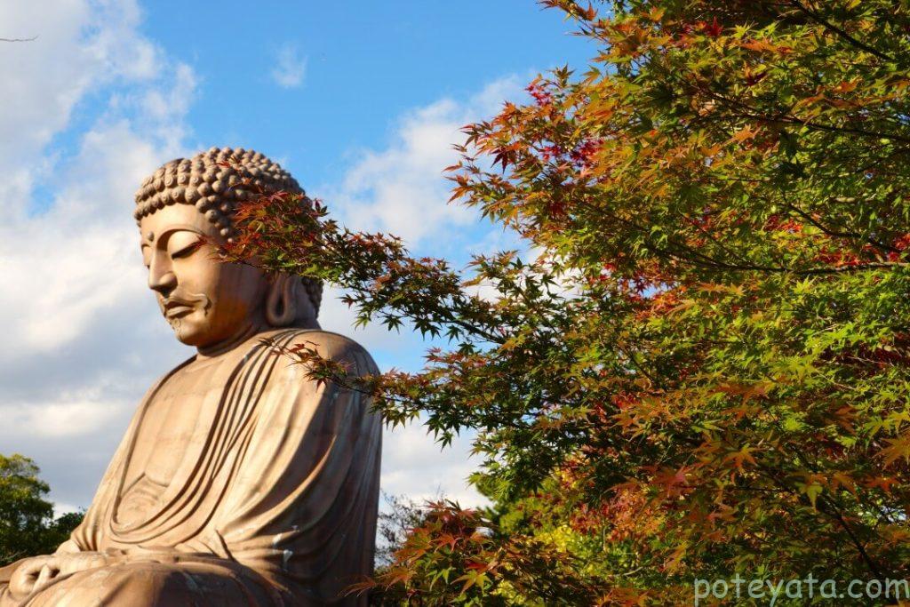 聚楽園大仏と紅葉