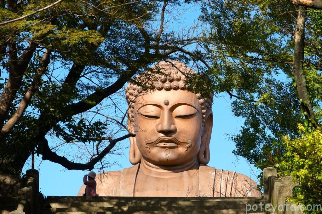 聚楽園大仏を正面階段下から見る