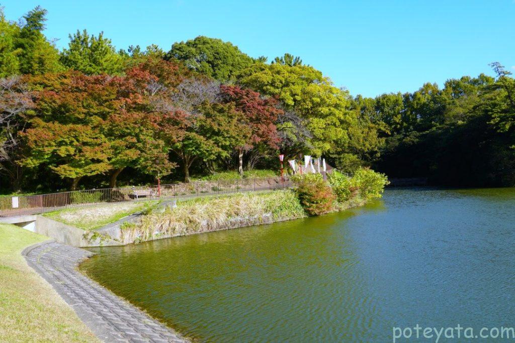 聚楽園公園にあるヤカン池の周りの紅葉