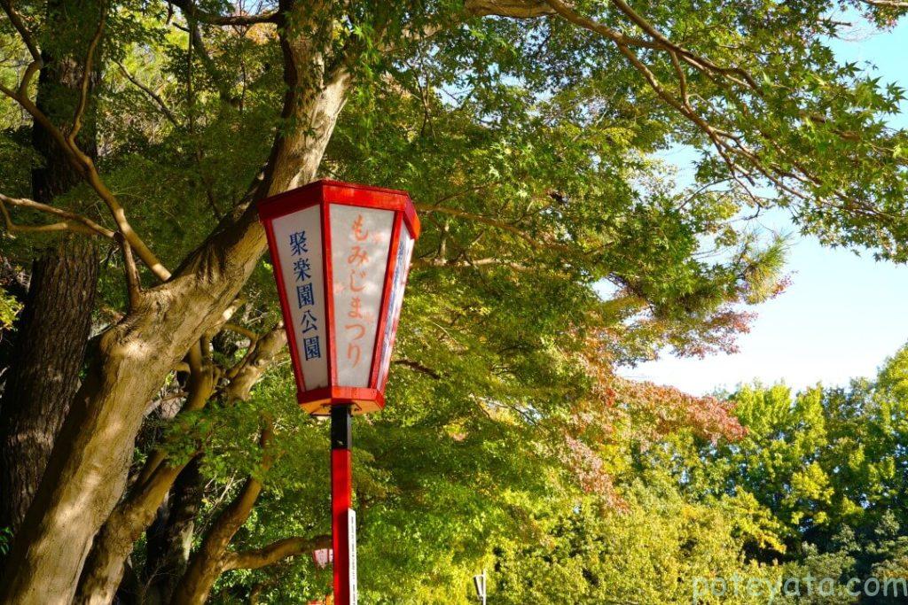 聚楽園公園の紅葉祭りの街頭