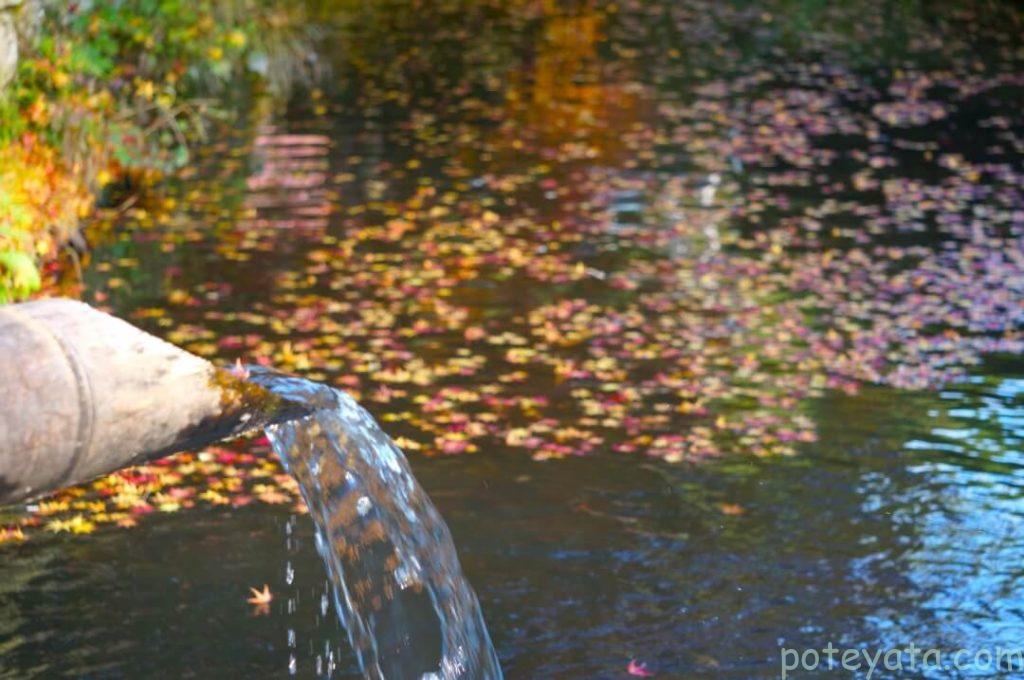 松平東照宮の水濠に注ぎ込まれる水