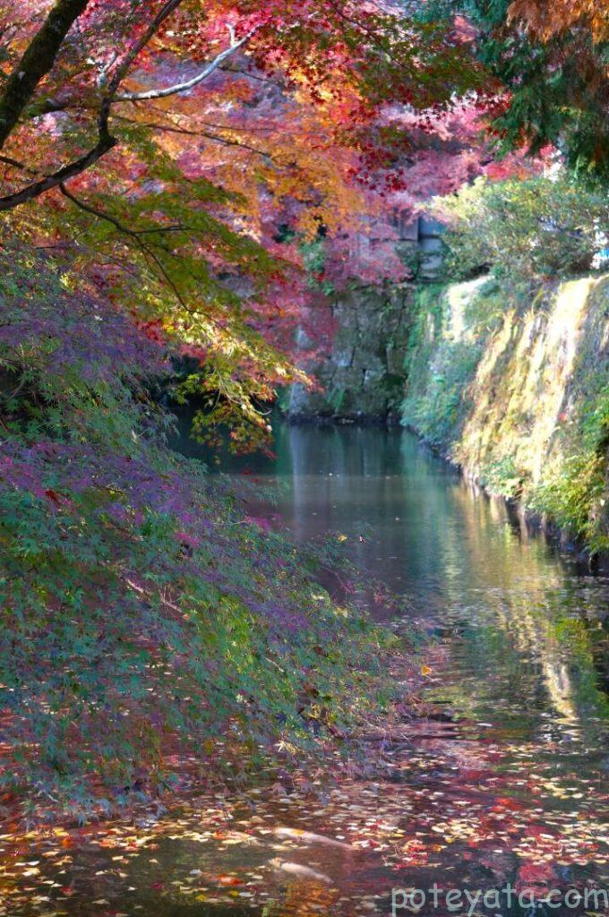 松平東照宮の水濠と紅葉
