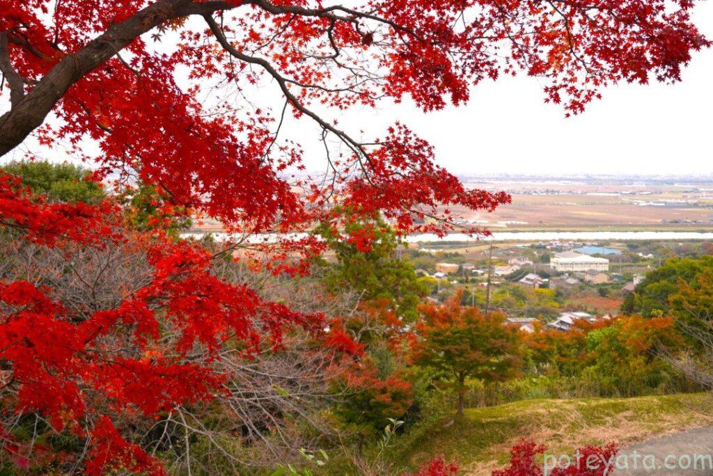 濃尾平野と紅葉