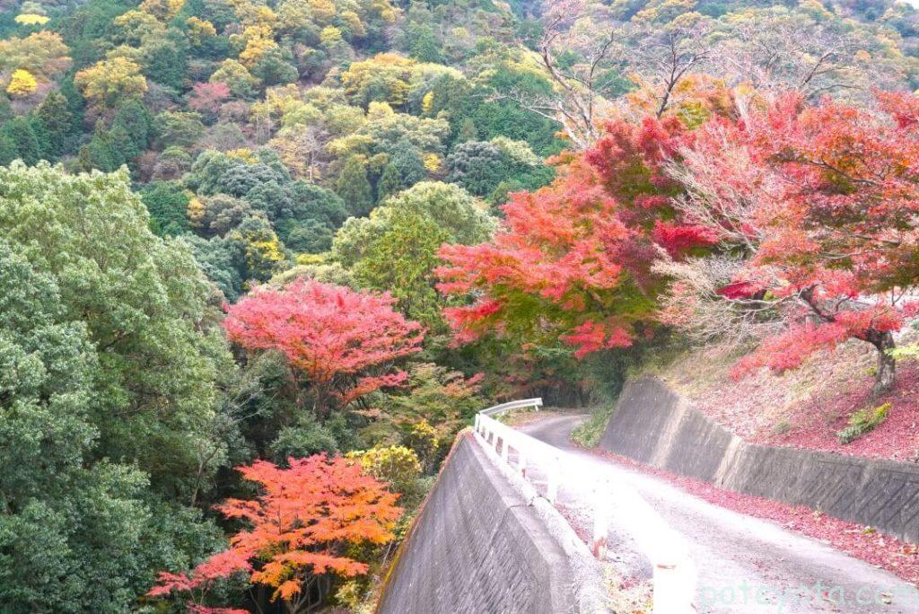 行基寺へ向かう車道