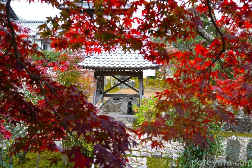行基寺の手水舎と紅葉