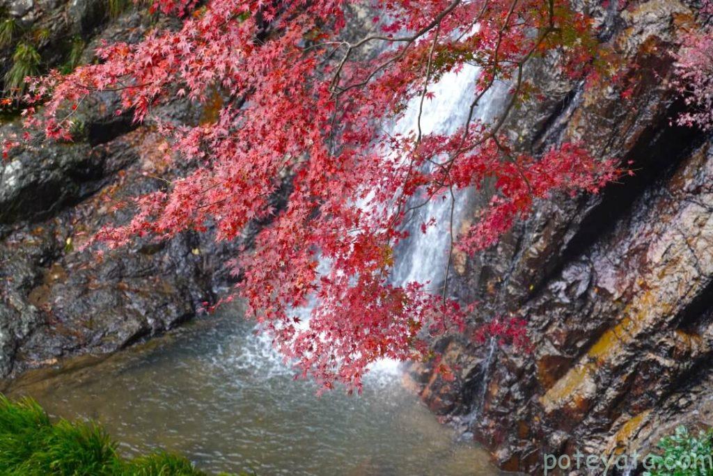 五宝滝にある一の滝と紅葉を一緒に見る