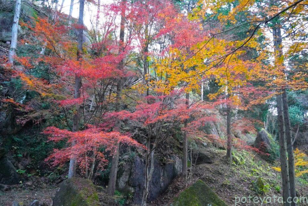 鬼岩公園の紅葉の様子