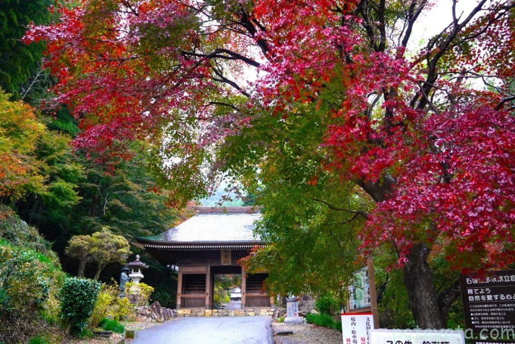 普門寺の仁王門と紅葉
