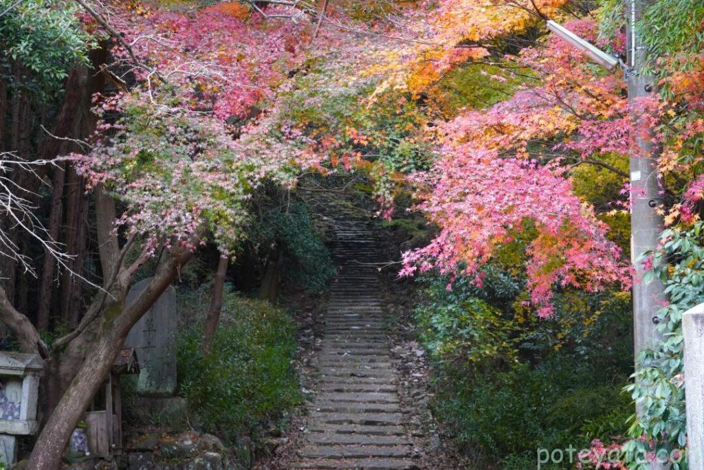 定光寺公園にある階段と紅葉