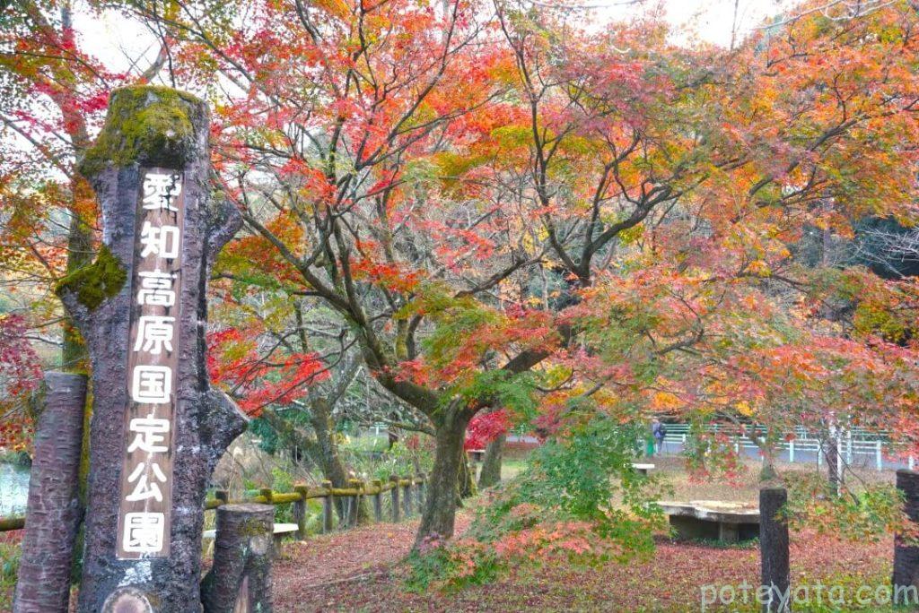 愛知高原国定公園と書かれた石碑と紅葉