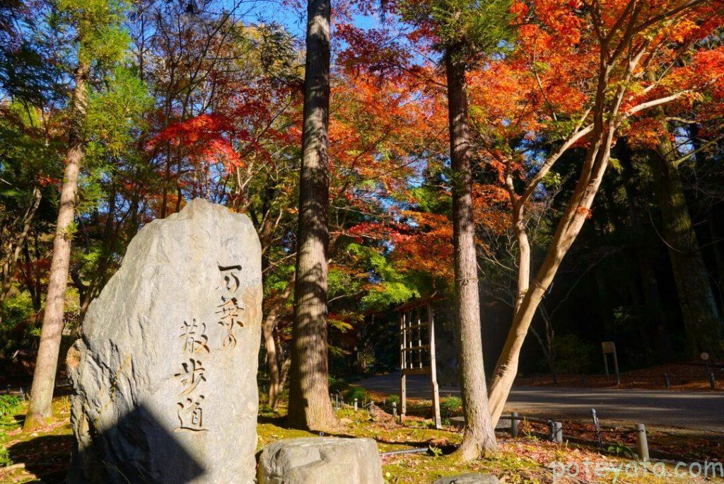 東山植物園にある万葉の散歩道の石碑