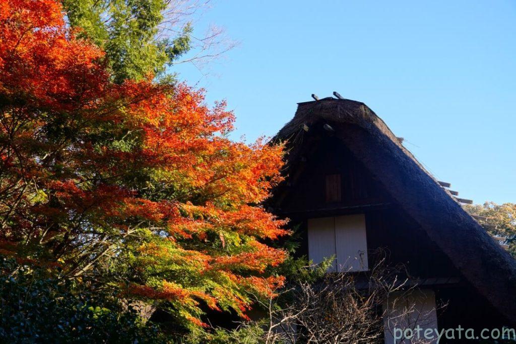 東山植物園にある合掌造りの家