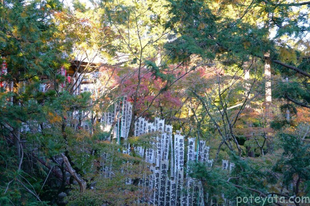 真福寺の本堂前の階段の紅葉を横から見る