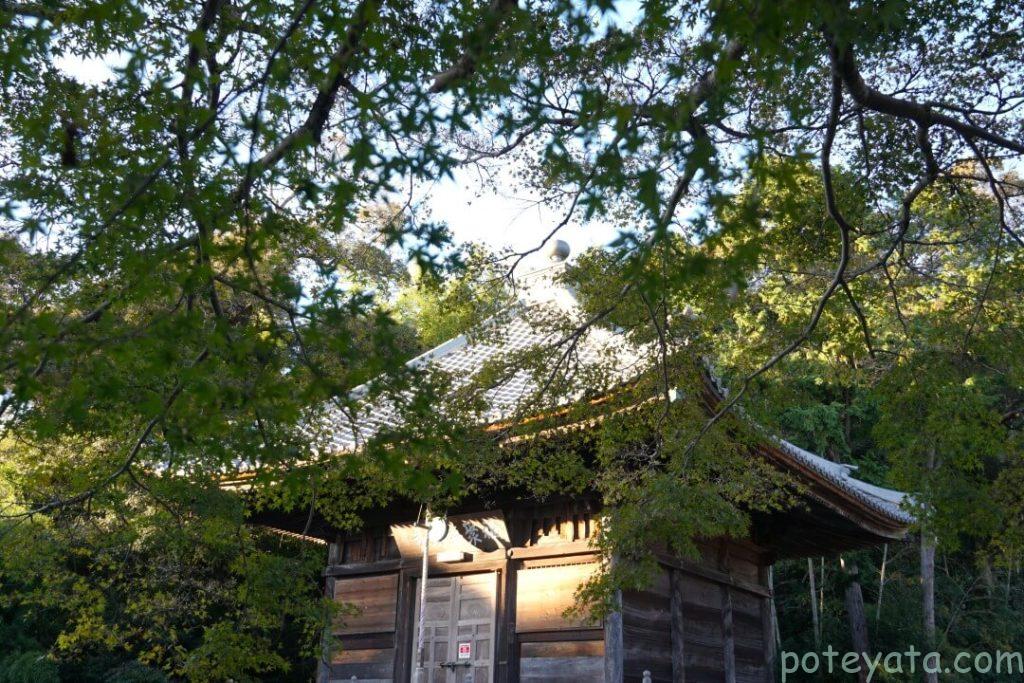 真福寺の大師堂ともみじ