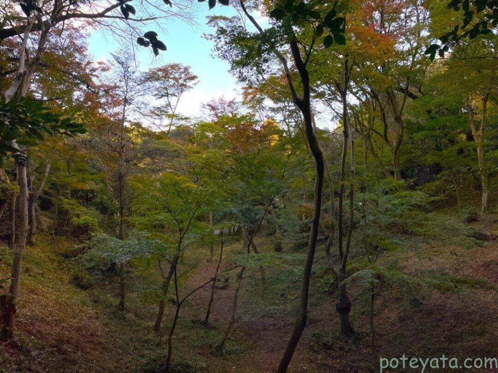 日長神社の横にある紅葉谷